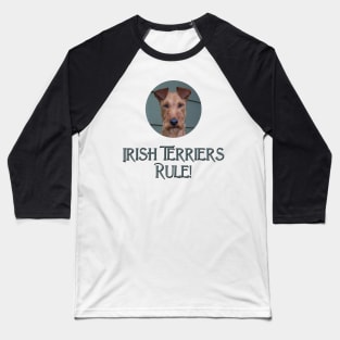 Irish Terriers Rule! Baseball T-Shirt